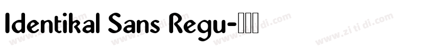 Identikal Sans Regu字体转换 Identikal Sans Regu字体转换